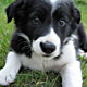 9 July 2009 – Djúpavík. Welcome Freyja.