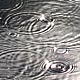 13 August 2009 – Djúpavík. Round things on the watersurface beside beams in water.