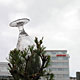 15 till 27 May 2010 – Reykjavík. Miscellaneous XXII.