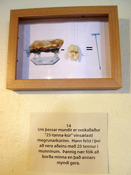 Djúpavík. Ausstellung: Ómar Smári Kristinsson und Nína Ivanova - "25". - "Eine sehr populäre Diät derzeit ist die sogenannte "25 Zähne Diät": ein Gebiss mit nur noch 25 Zähnen. Dann isst man nämlich weniger als mit einem vollständigen Gebiss." (18.07.2010)