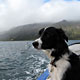 25 August 2010 – Djúpavík. Finally a trip on the fjord with the boat "Djúpfari". (5 pictures)