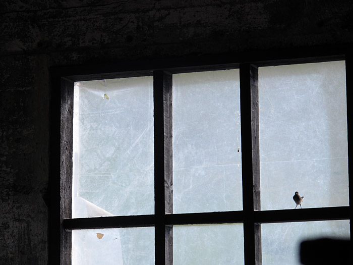 Djúpavík. Verschiedenes XXXIV. - In der Heringfabrik I. (07. bis 30.08.2011)