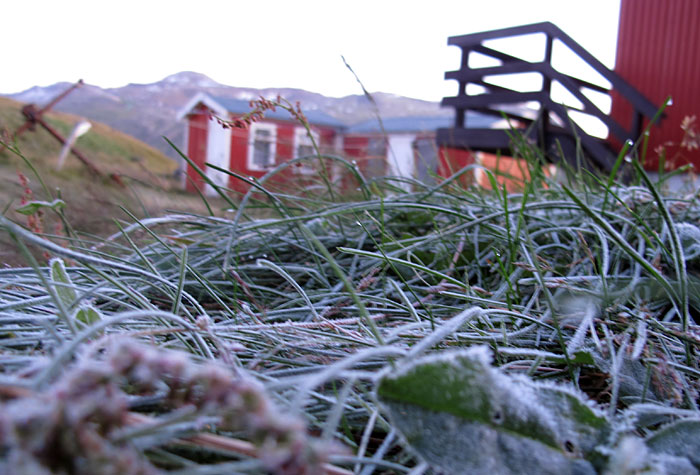 Djúpavík. Wochenende hier. - Frost während der ersten Nacht. Am Morgen nun... (09. bis 11.09.2011)