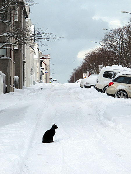 Reykjavík. Verschiedenes XXXVIII. - Impressionen aus dem Schnee. IX. (25. bis 29.12.2011)