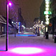 22 till 31 January 2012 – Reykjavík. Miscellaneous XXXX. (7 pictures)