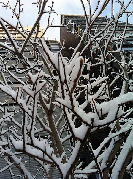 Reykjavík. Wieder Schnee, aber diesmal etwas anders. - III. (24.01.2012)