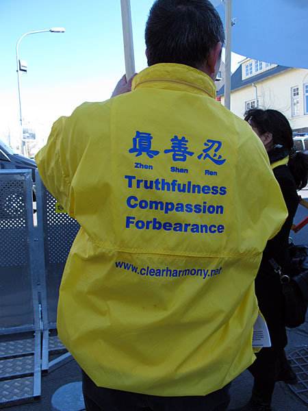 Reykjavík. Ein Besucher und eine Demonstration. - Deswegen ... (20.04.2012)