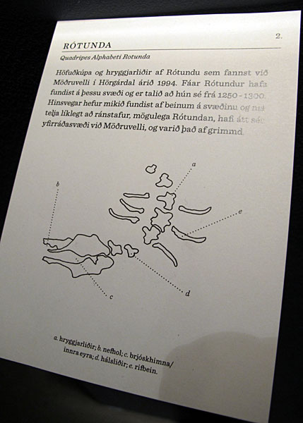 Reykjavík. Kunsthochschule - Abschlussarbeiten 2012. - Meine Lieblingsarbeit: Die Anatomie von Buchstaben, von Sigga Rún. Über sie und das Projekt <a href='http://www.siggarune.com/47753/512069/portfolio/anatomy-of-letters' target='_blank' class='linksnormal'>hier klicken</a>. (22.04.2012)
