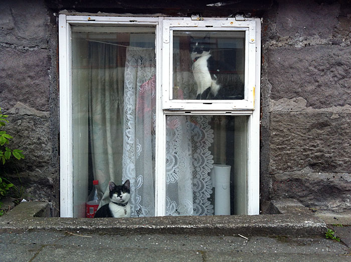 Reykjavík. Verschiedenes XXXXIII. - Sehr ähnlich. (08. bis 19.05.2012)