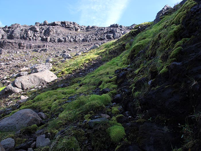 Djúpavík. Wandern, aber nur etwas: Zum Wasserfall. - Nur noch weniger Meter. II. (06.08.2012)
