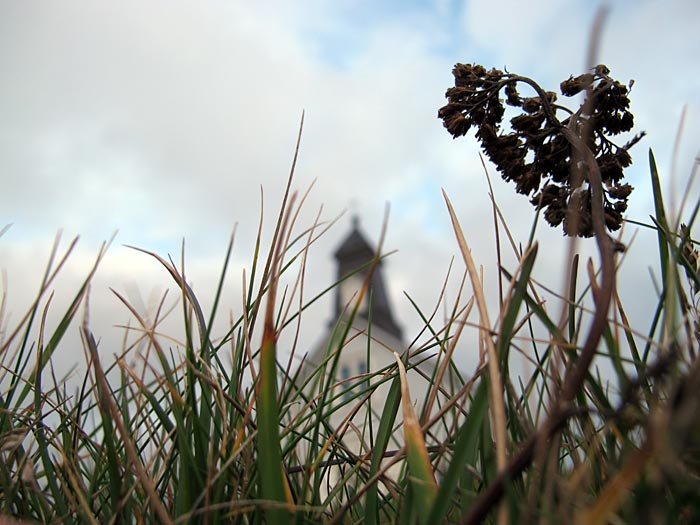 Reykjavík. Fish, Kleifarvatn and more. - Strandarkirkja. I. (25 September 2012)