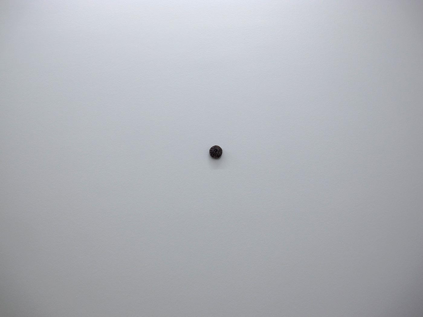 Reykjavík. Ragna Róbertsdóttir in der Gallerie i8. - Ein Punkt auf einer weissen Fläche. Erinnerte mich an etwas ... (17.01.2013)
