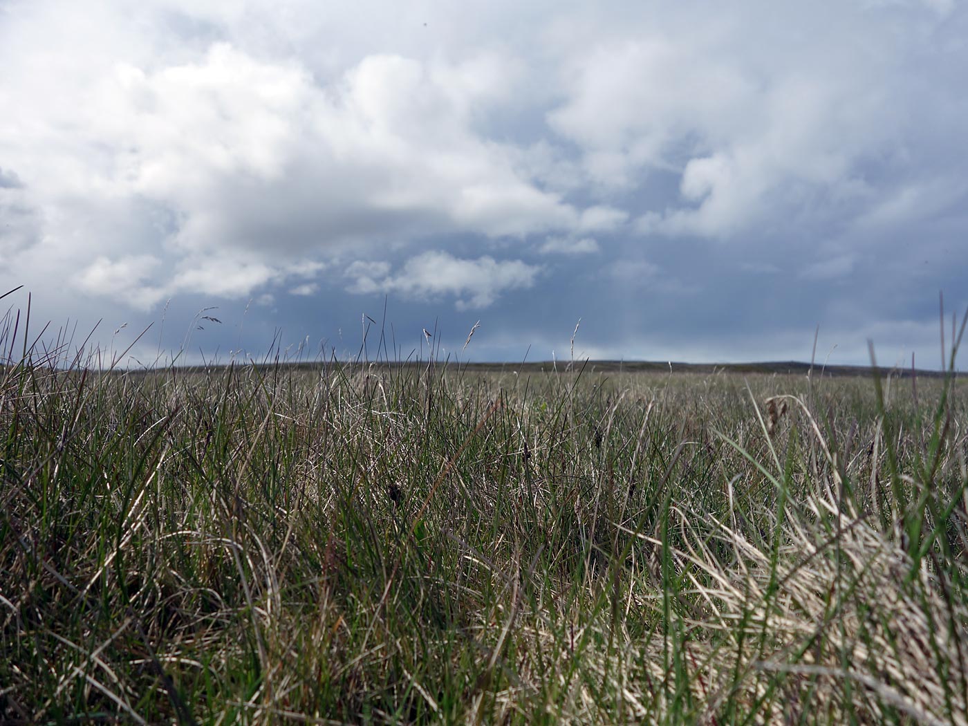 Around Iceland. Day V. Langanes only. - Hiking today. V. (6 July 2013)