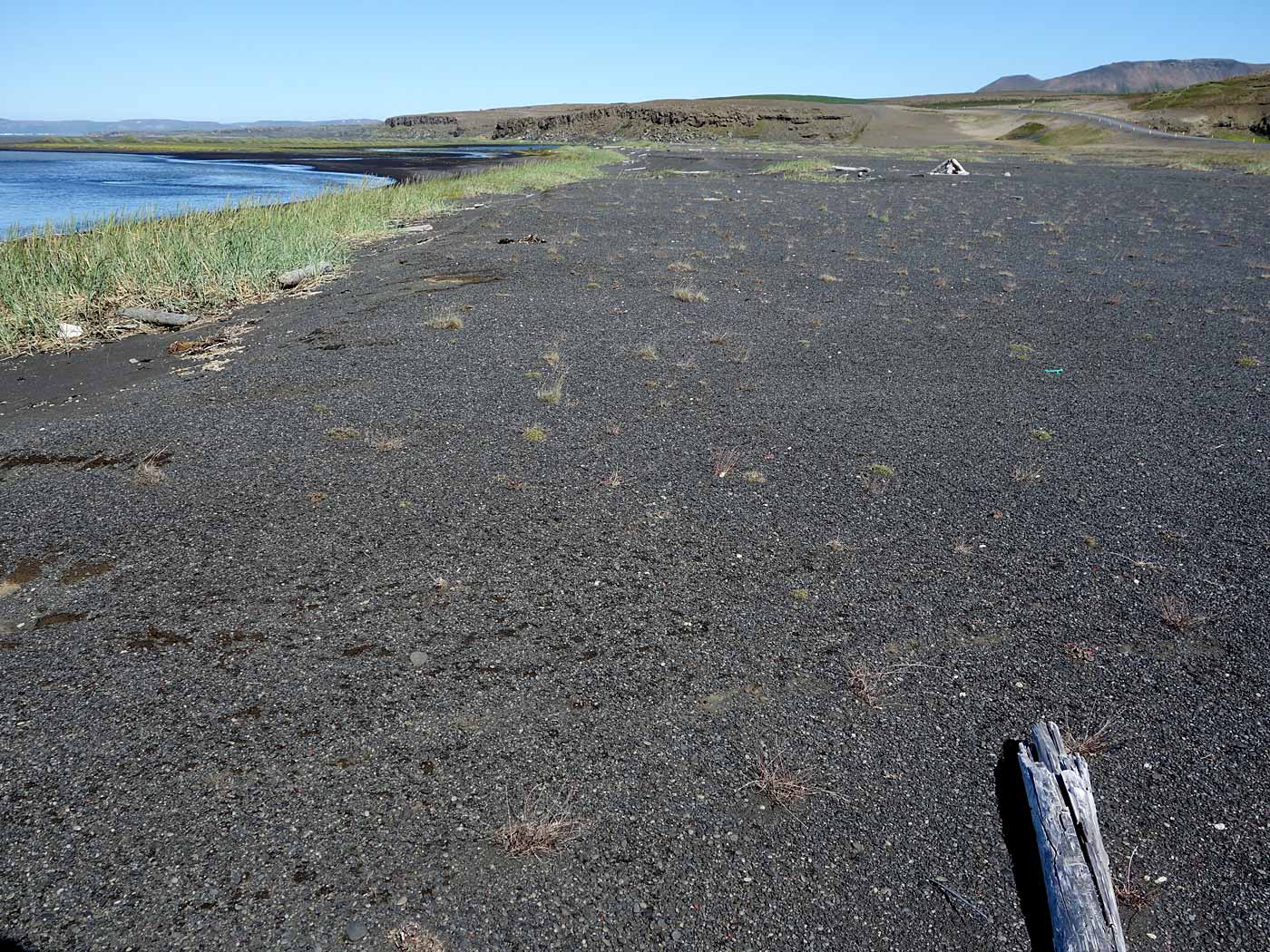 Rund um Island. Tag VI. Langanes - Siglufjörður. - Ein schöner schwarzer Sand-Strand (es war wohl beim Fjord Öxarfjörður). (07.07.2013)