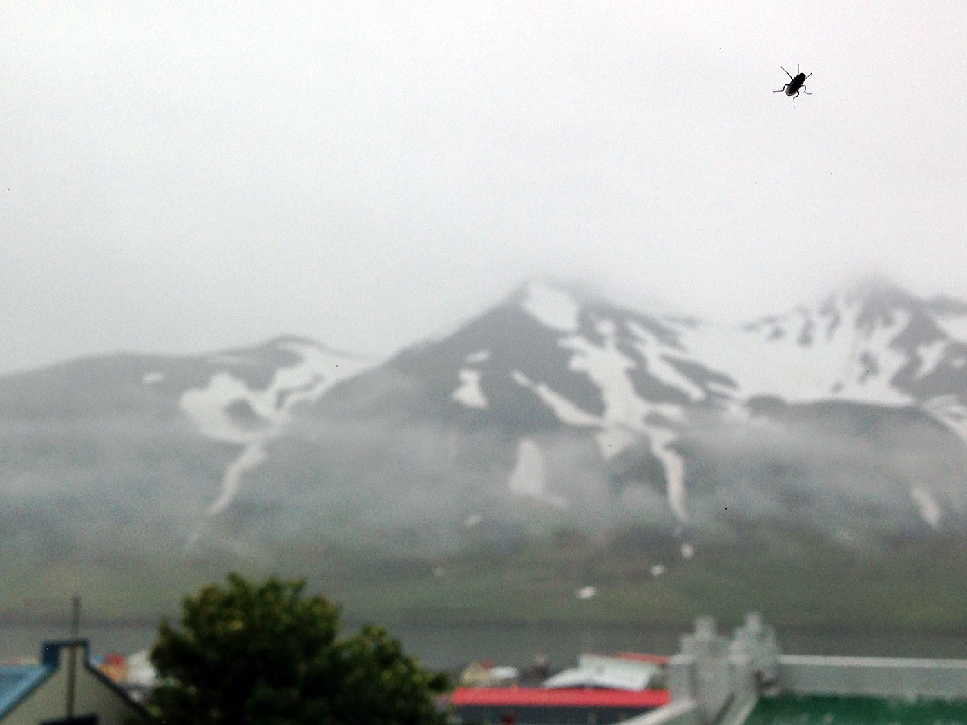 Rund um Island. Tag VII. Siglufjörður - Djúpavík. - Siglufjörður. (08.07.2013)