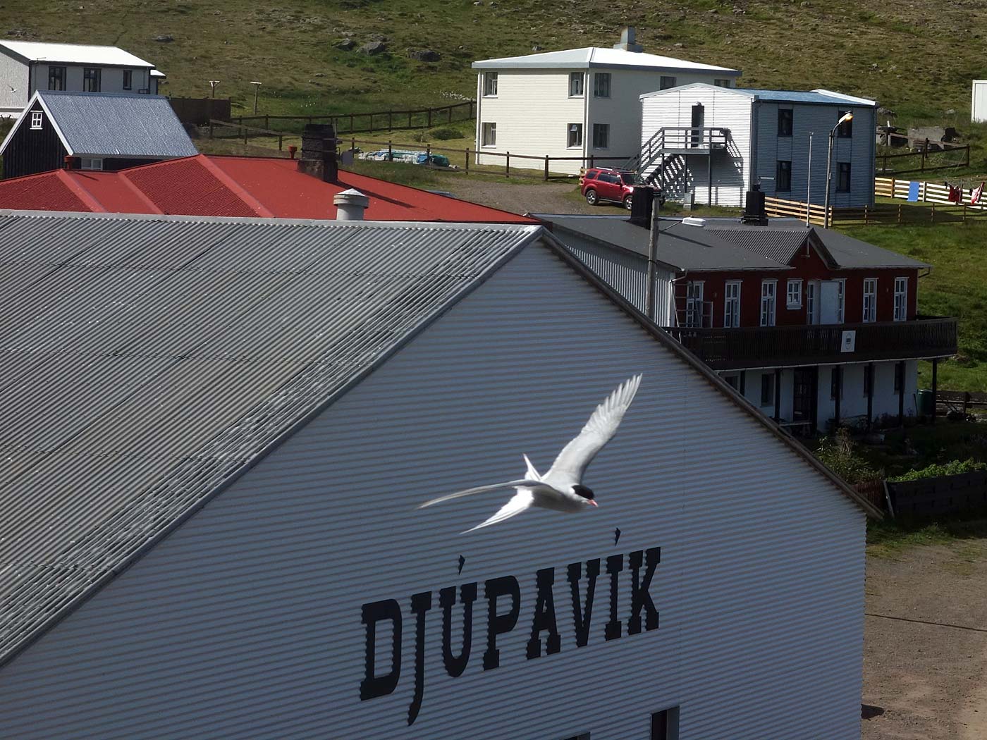Djúpavík. Verschiedenes LXII. - . (22. bis 28.07.2013)