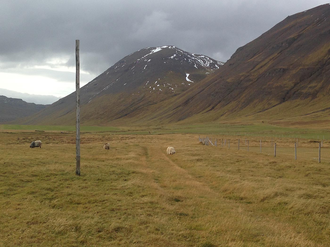 Djúpavík. And Trékyllisvík. I. - Trékyllisvík. (11 October 2013)