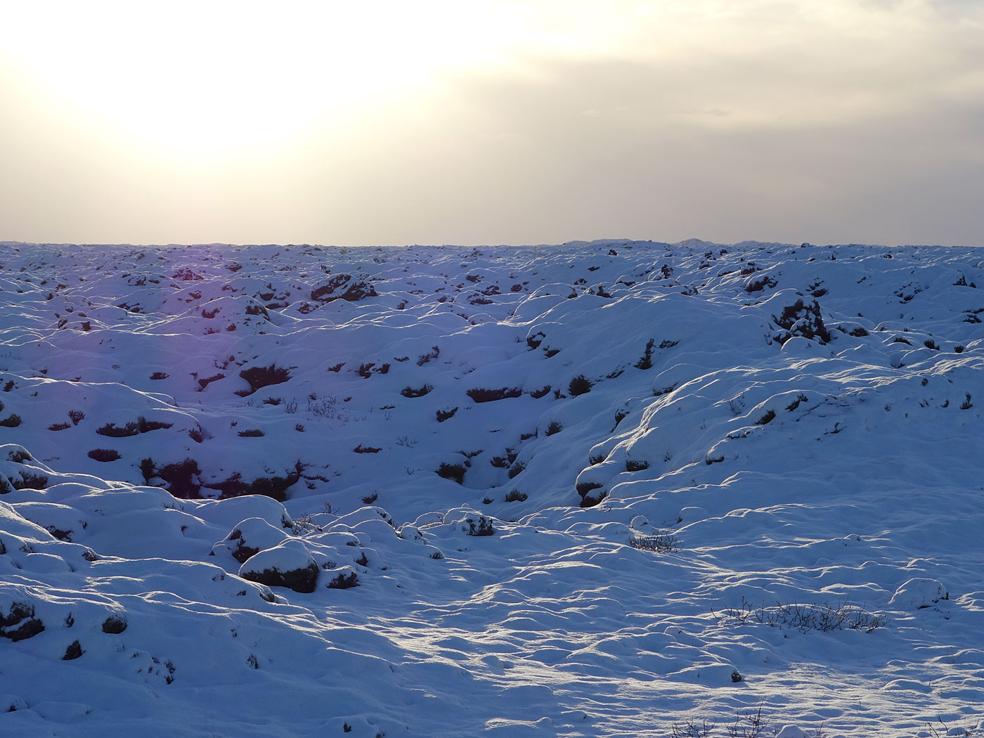 Kirkjubæjarklaustur bis (fast) Vík. - Eisige Welten - <a href='http://de.wikipedia.org/wiki/Laki-Krater' target='_blank' class='linksnormal'>Eldhraun</a>... III. (17.11.2013)