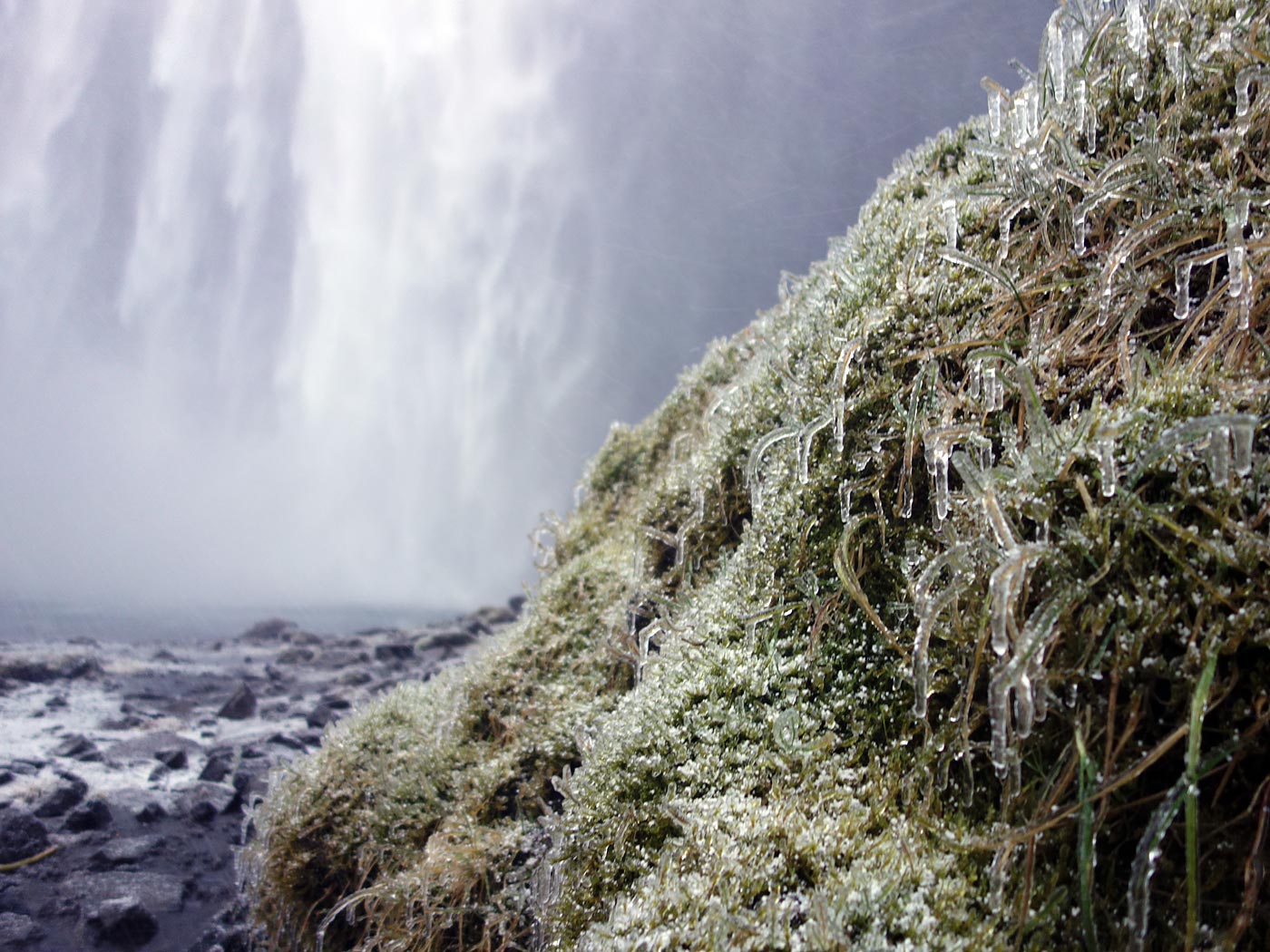 Vík  Reykjavík. - Skógafoss. III. (17.11.2013)