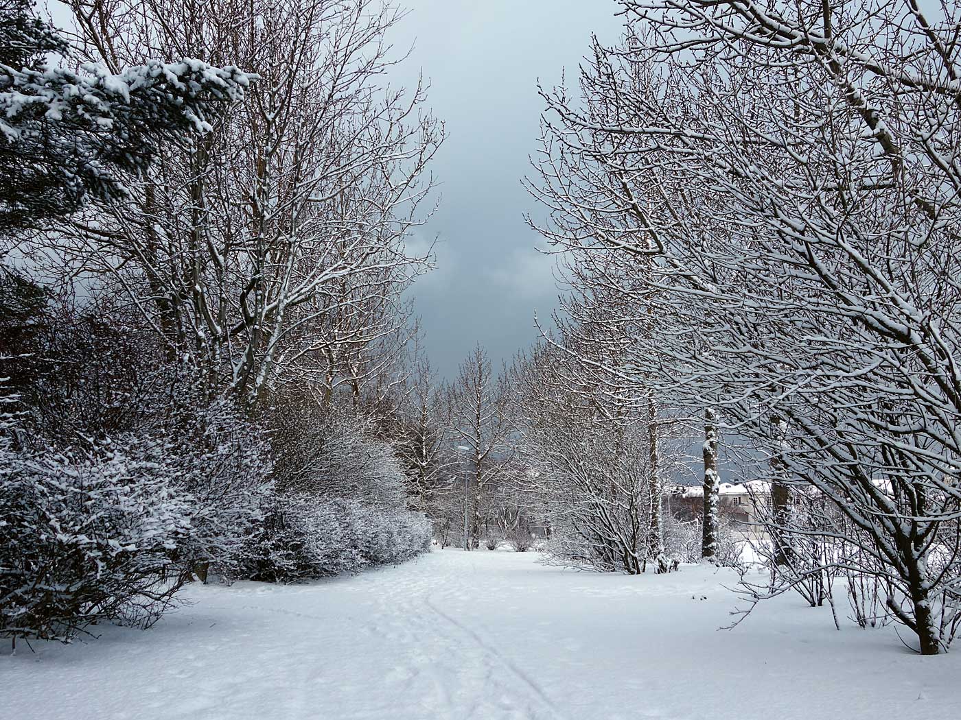 Reykjavík. Klambratún in snow. - <a href='http://freecitytravel.com/klambratun-park-reykjavik.html' target='_blank' class='linksnormal'>Klambratún park</a> in <a href='http://en.wikipedia.org/wiki/Snow' target='_blank' class='linksnormal'>snow</a>. VII. (10 December 2013)