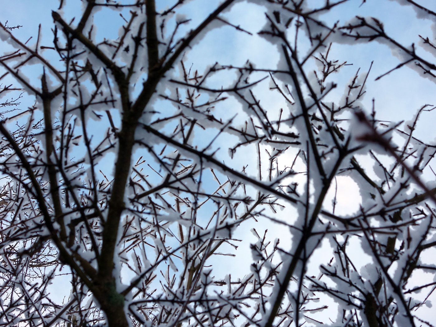 Reykjavík. Klambratún im Schnee. - <a href='http://freecitytravel.com/klambratun-park-reykjavik.html' target='_blank' class='linksnormal'>Park Klambratún</a> im <a href='http://de.wikipedia.org/wiki/Schnee' target='_blank' class='linksnormal'>Schnee</a>. VIII. (10.12.2013)