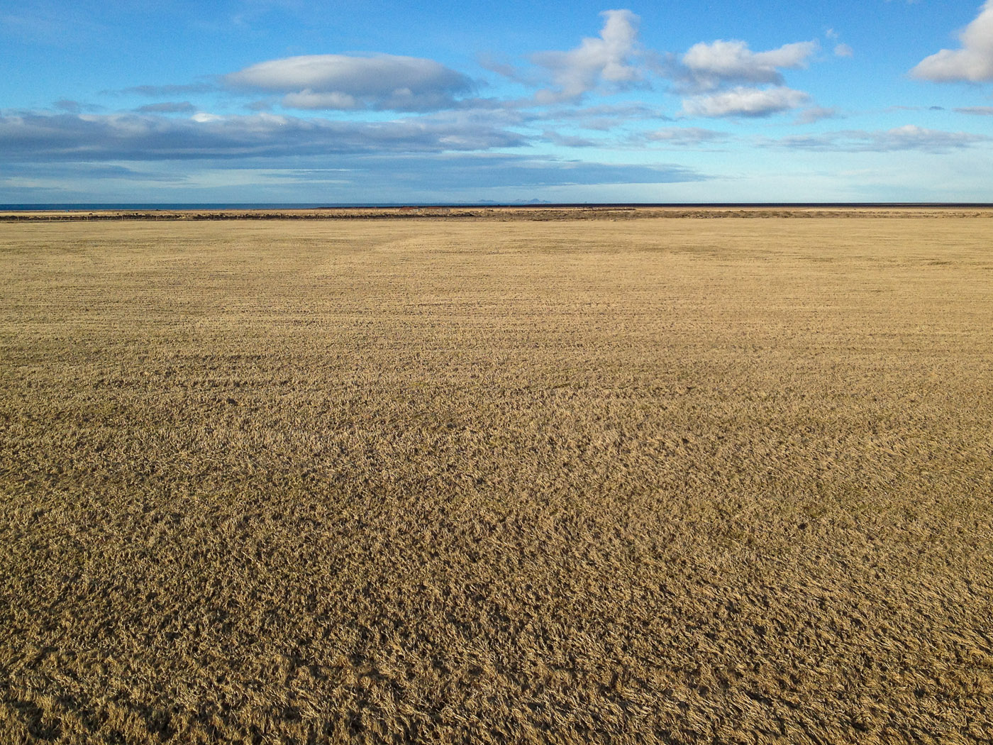 South coast. Driving back to Reykjavík! - Beside Mt. Pétursey. Out for a short hike. Now without this nice dog. VI. (2 March 2014)