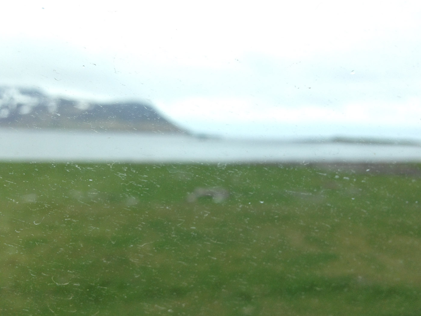 Djúpavík. Week 1. - ... (26 May till 1 June 2014)