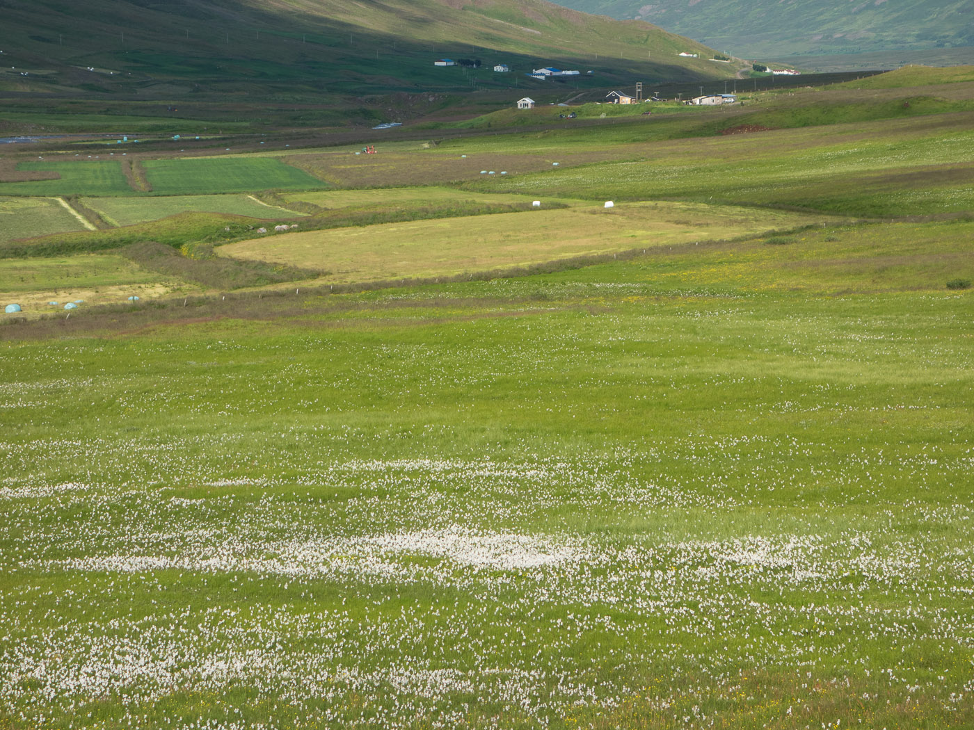 Northern Iceland - Svarfaðardalur. On vacation. - Hiking to lake Skeiðavatn. XI. (21 July 2014)