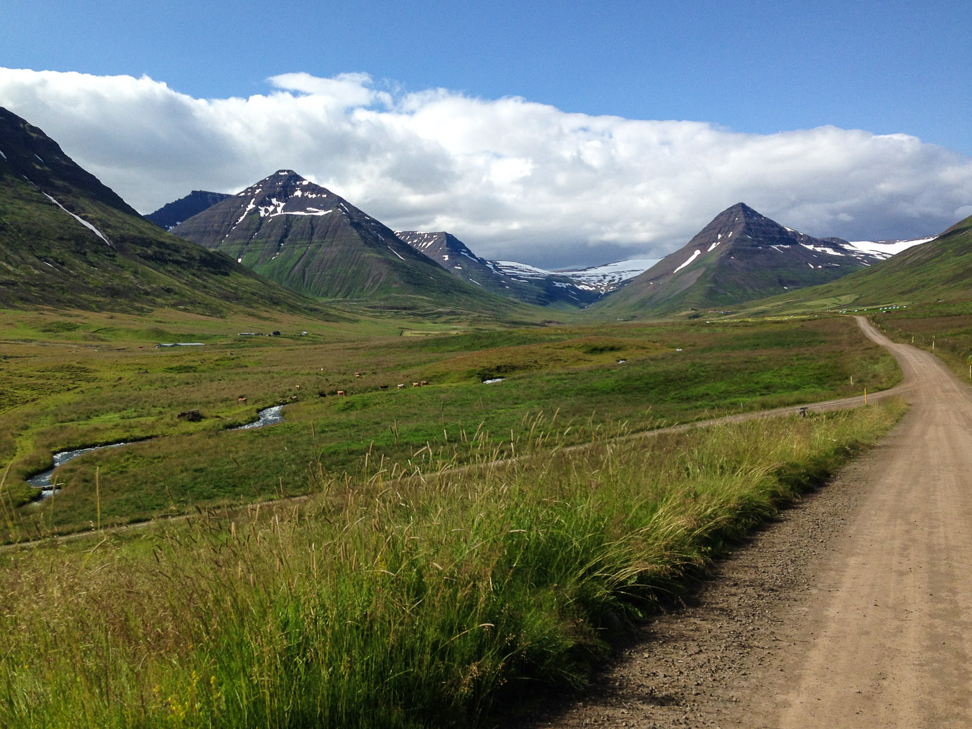 Northern Iceland - Svarfaðardalur - Grímstunga. On vacation. - Leaving Skeið :-( ... Bless bless! (23 July 2014)