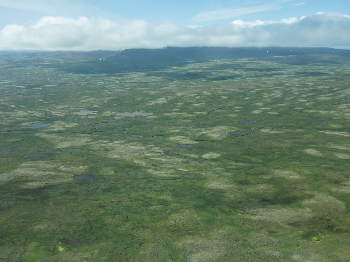 Reykjavík to Djúpavík. A flight ... - . (30 July 2014)