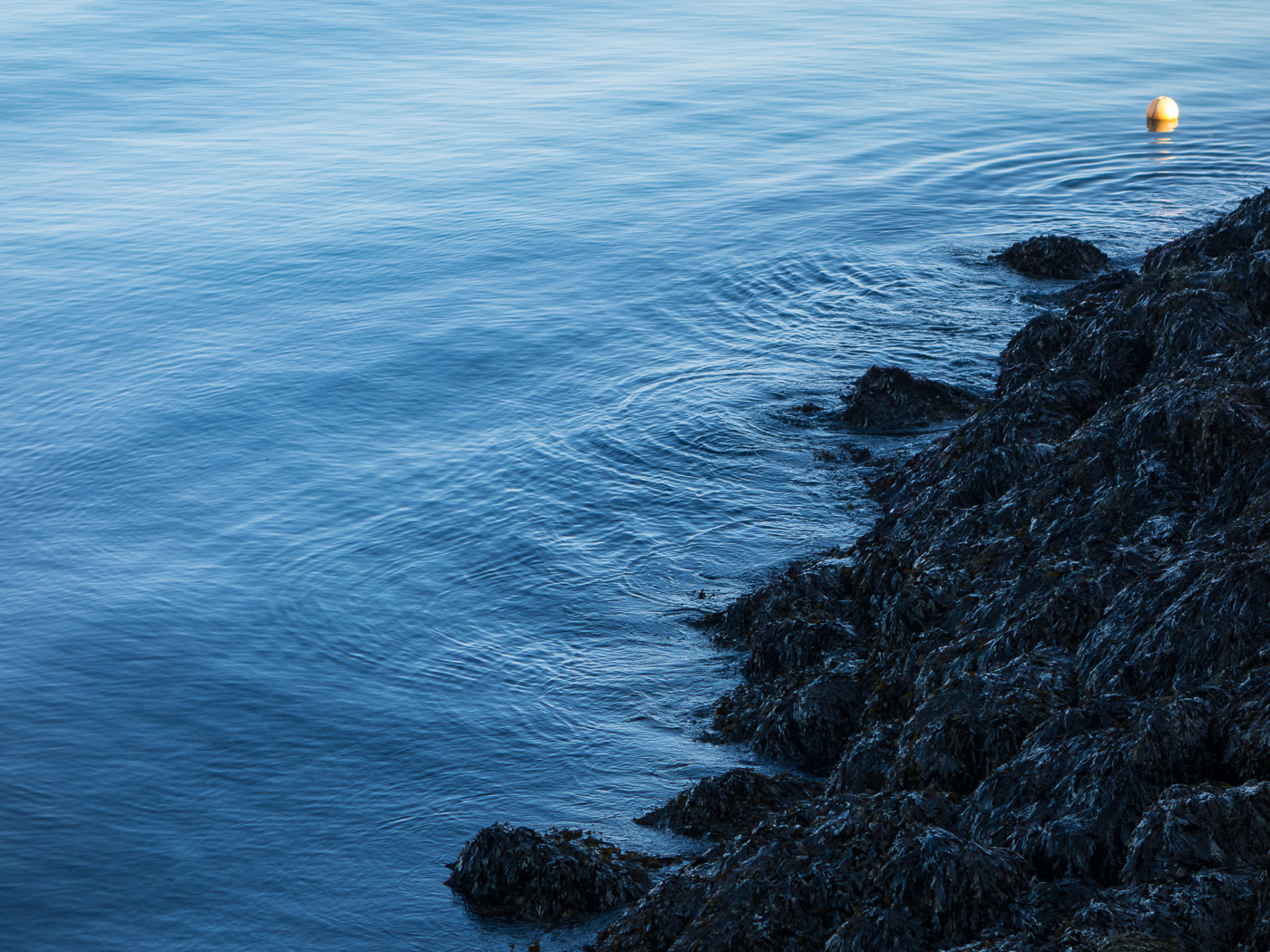Reykjavík. Miscellaneous LXXX. - . (5 till 31 October 2014)