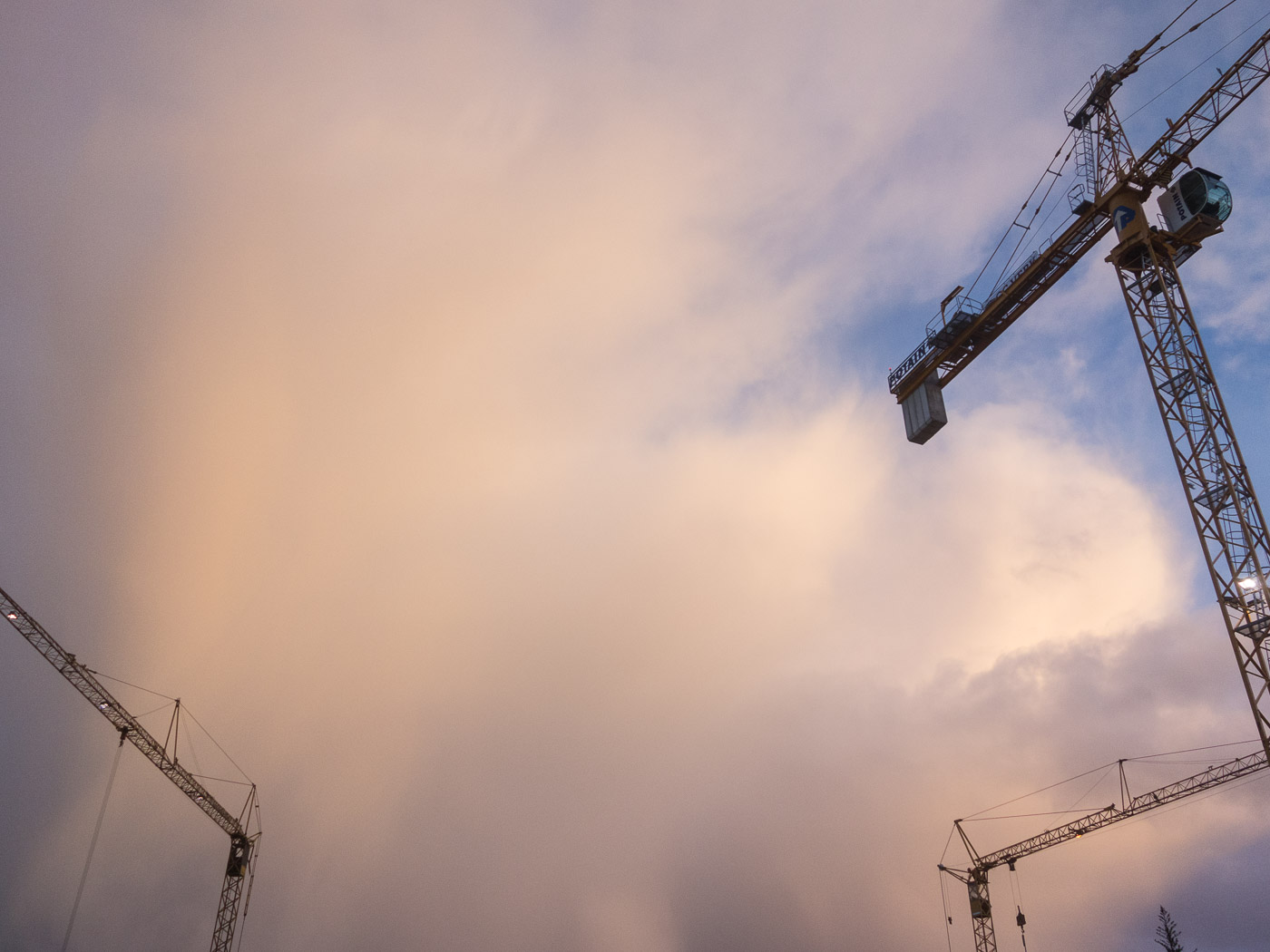 Reykjavík. Miscellaneous LXXXI. - . (2 till 30 November 2014)