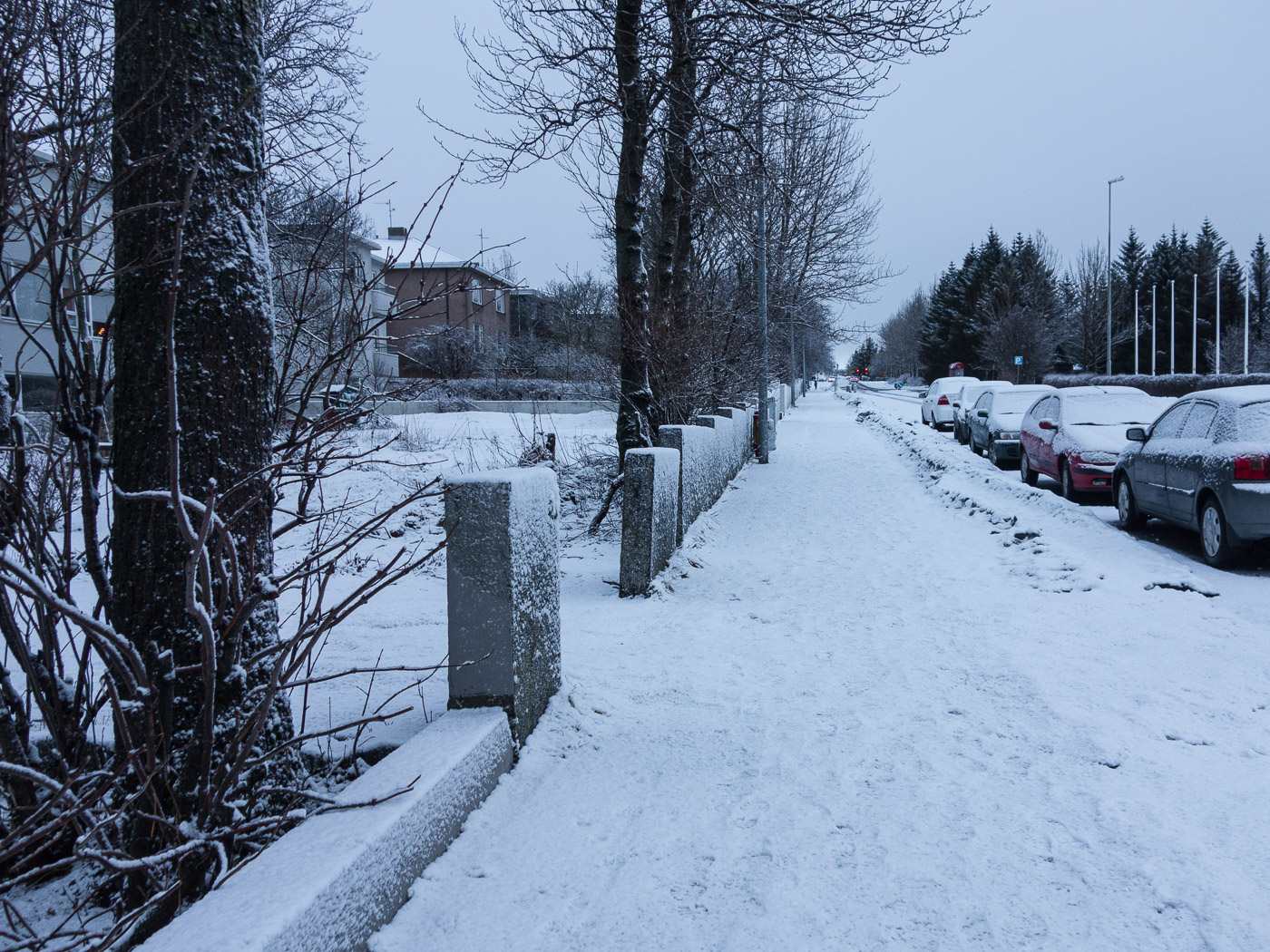 Reykjavík. First day in 2015. - . (1 January 2015)
