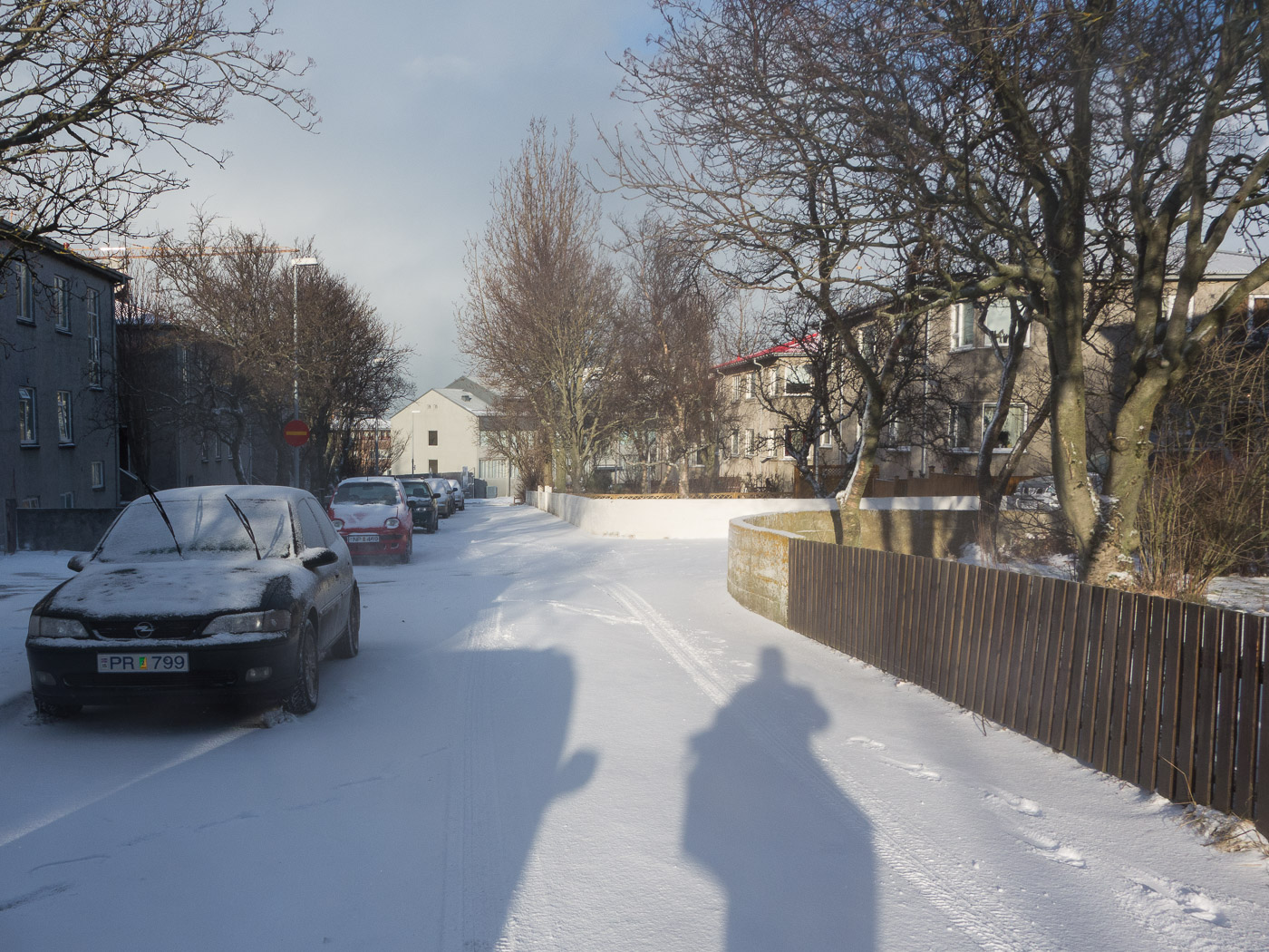 Reykjavík. Miscellaneous LXXXIV. - Still a lot of "Winter and snow" the whole month. (2 till 28 February 2015)