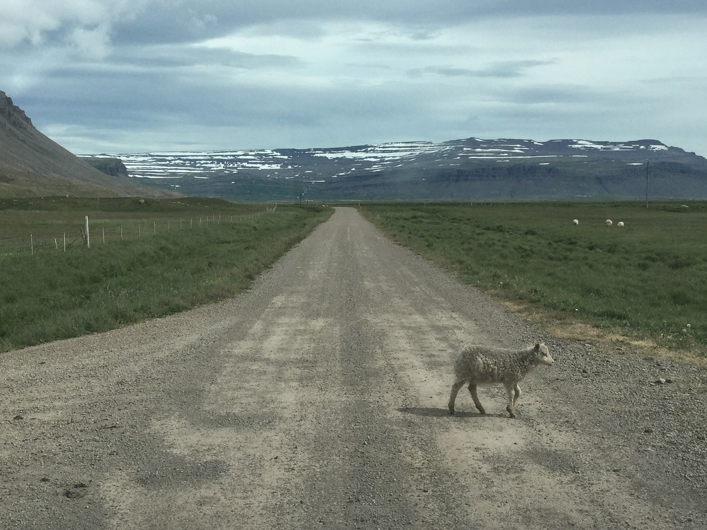 Westfjords in seven days. - Rauðasandur. (7 til 13 July 2015)