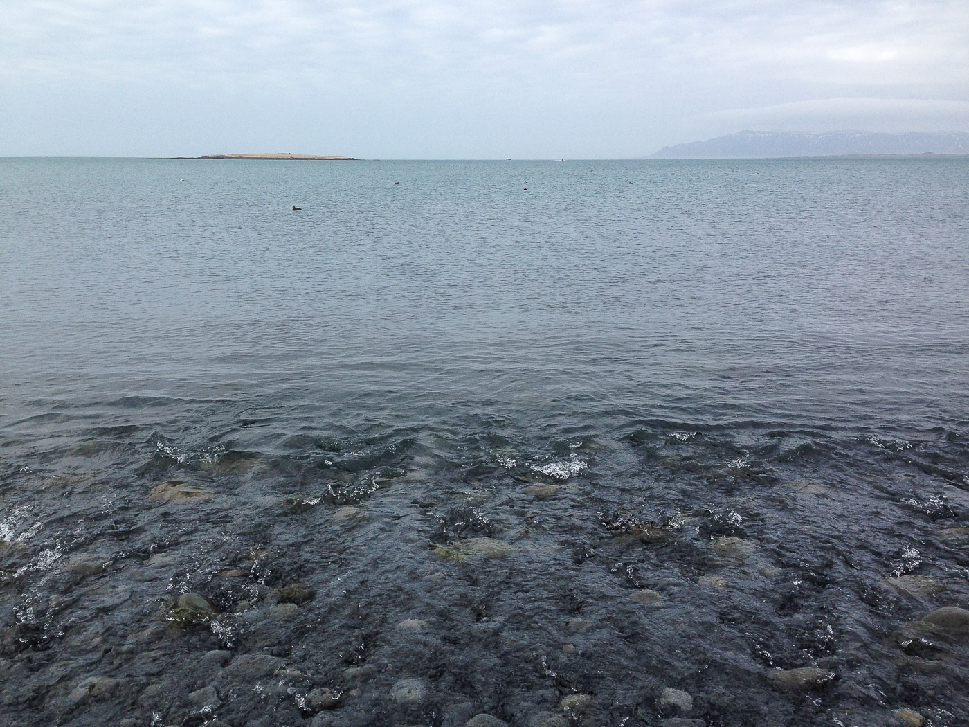 Reykjavík. Miscellaneous XCV. - Close I. (1 till 31 March 2016)