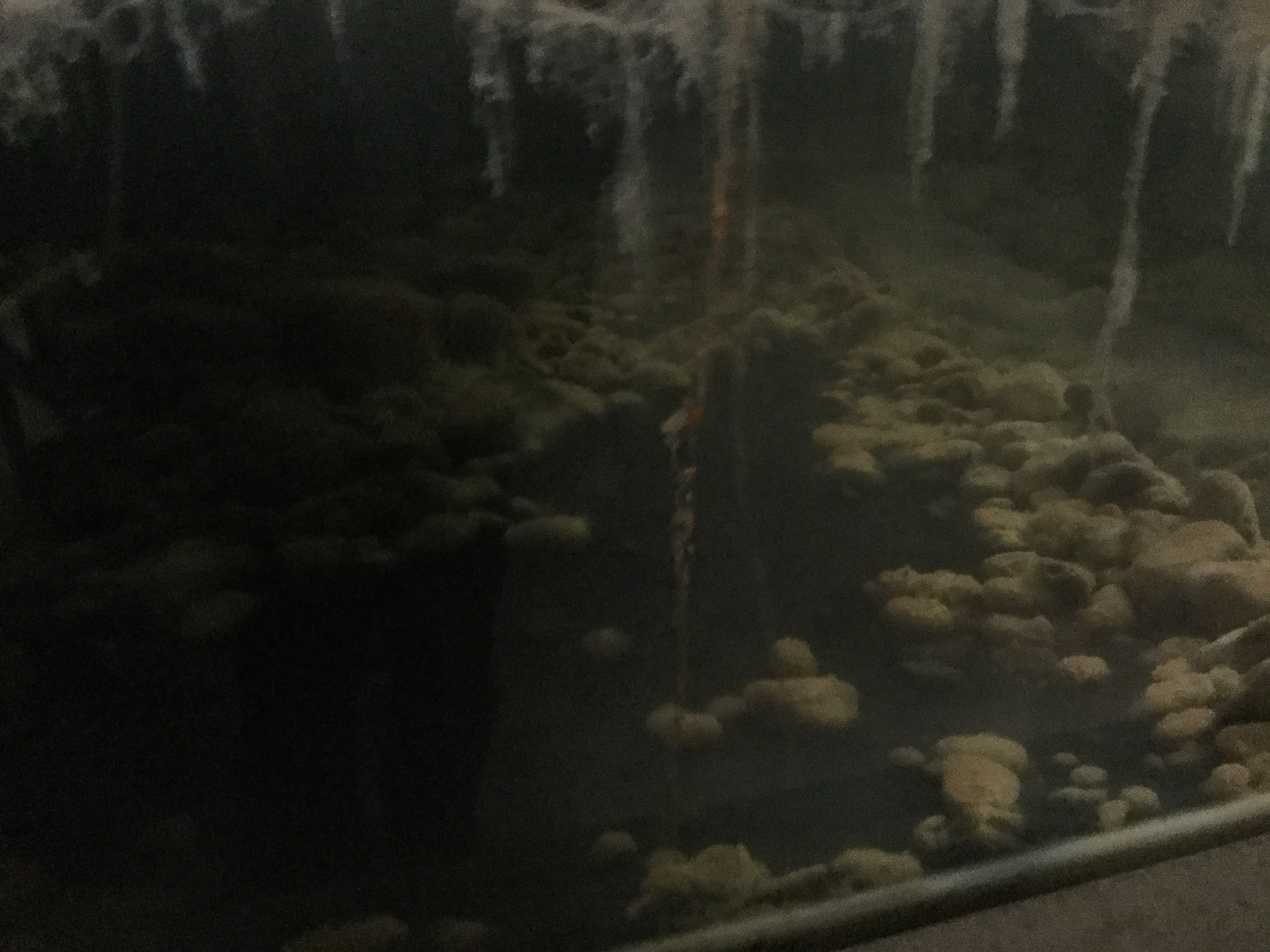 Reykjavík. Miscellaneous XCVI. - <a href='http://www.steypaphoto.com' target='_blank' class='linksnormal'>STEYPA</a> exhibition hall, fish tank, perfect for showing pictures. (1 till 30 April 2016)