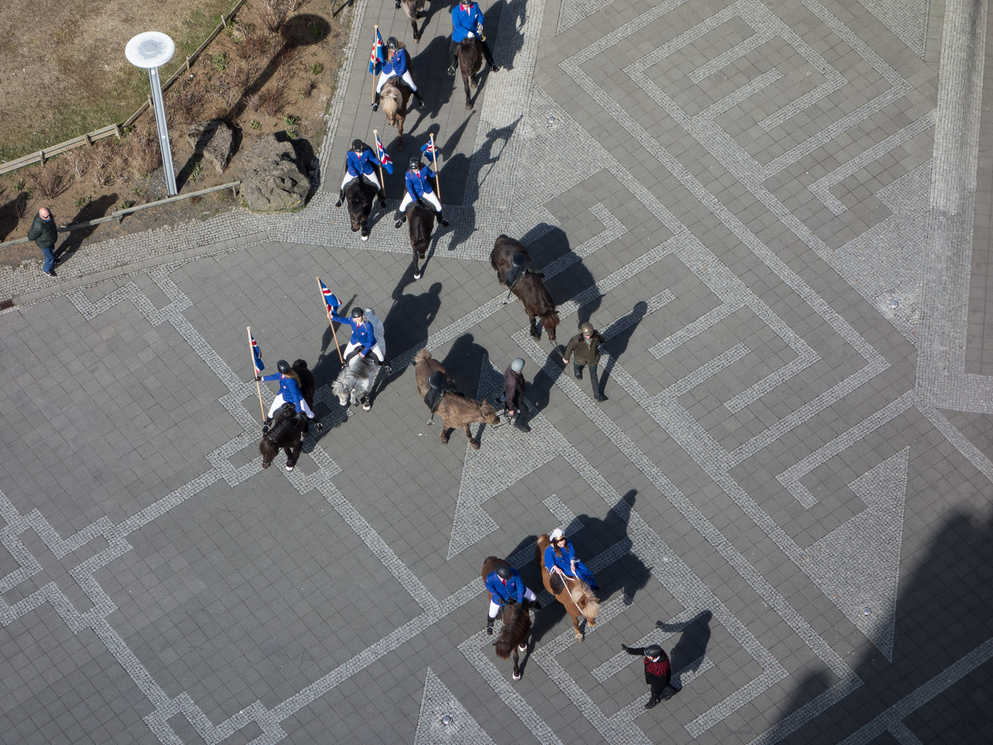 Reykjavík. Miscellaneous XCVI. - ... but horses arrived! (1 till 30 April 2016)