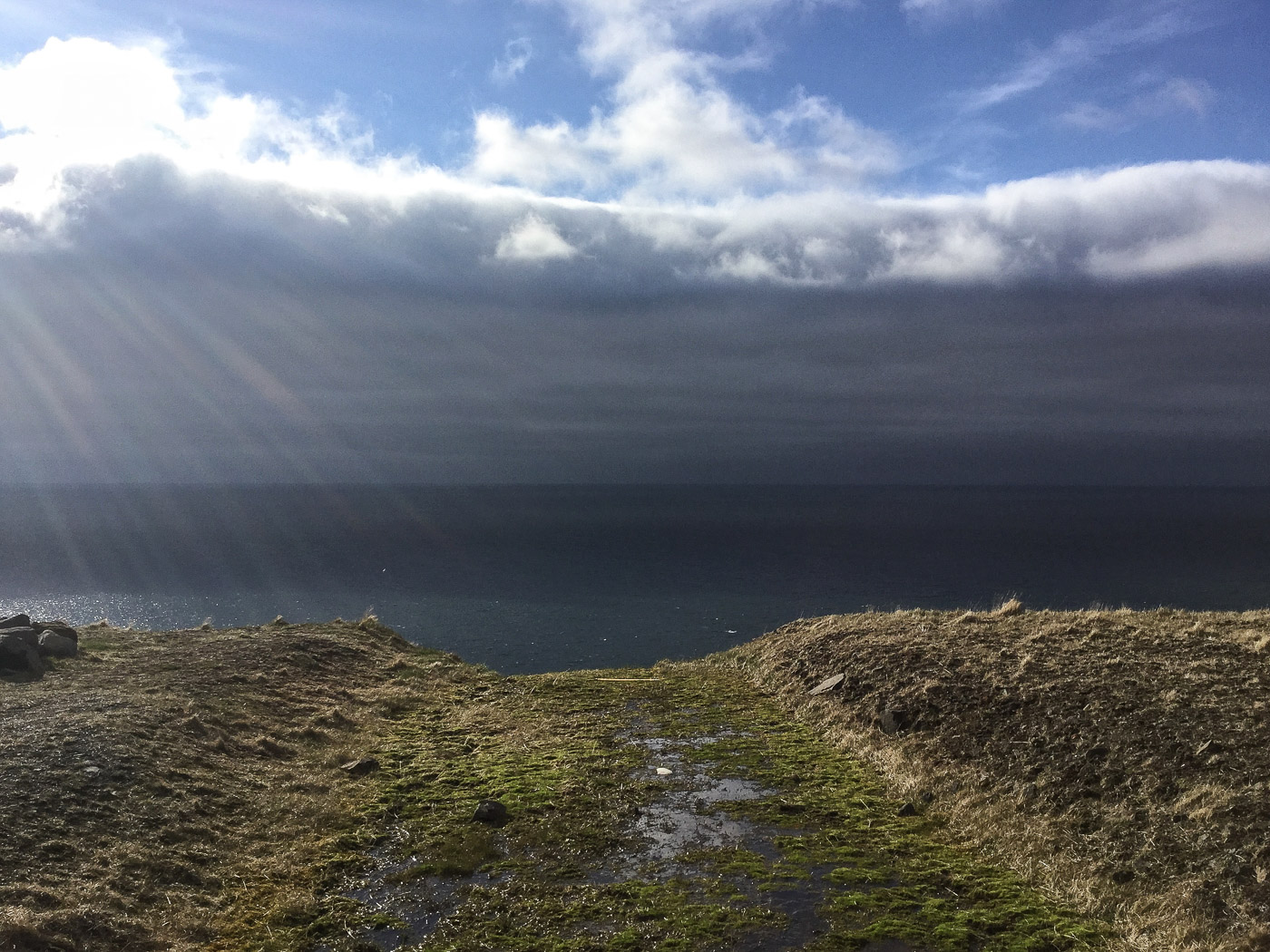 Reykjavík. Miscellaneous XCVII. - Hmmm ... (1 till 31 May 2016)