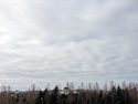 07 Apr. 2013