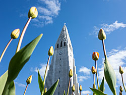 20 May 2014