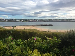28 August 2015