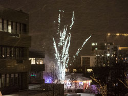 29 December 2015