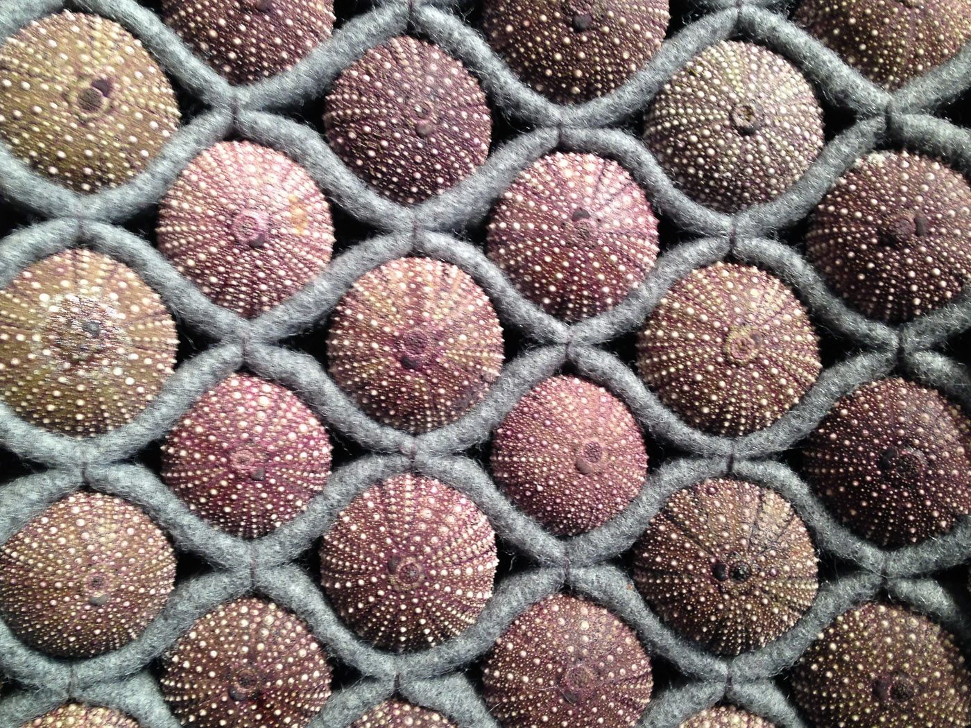 Reykjav&iacute;k. Miscellaneous LXXII. - Artwork by Ingrid Larssen, shown in small exhibition in the City Hall of Reykjav&iacute;k. (1 till 10 January 2014)