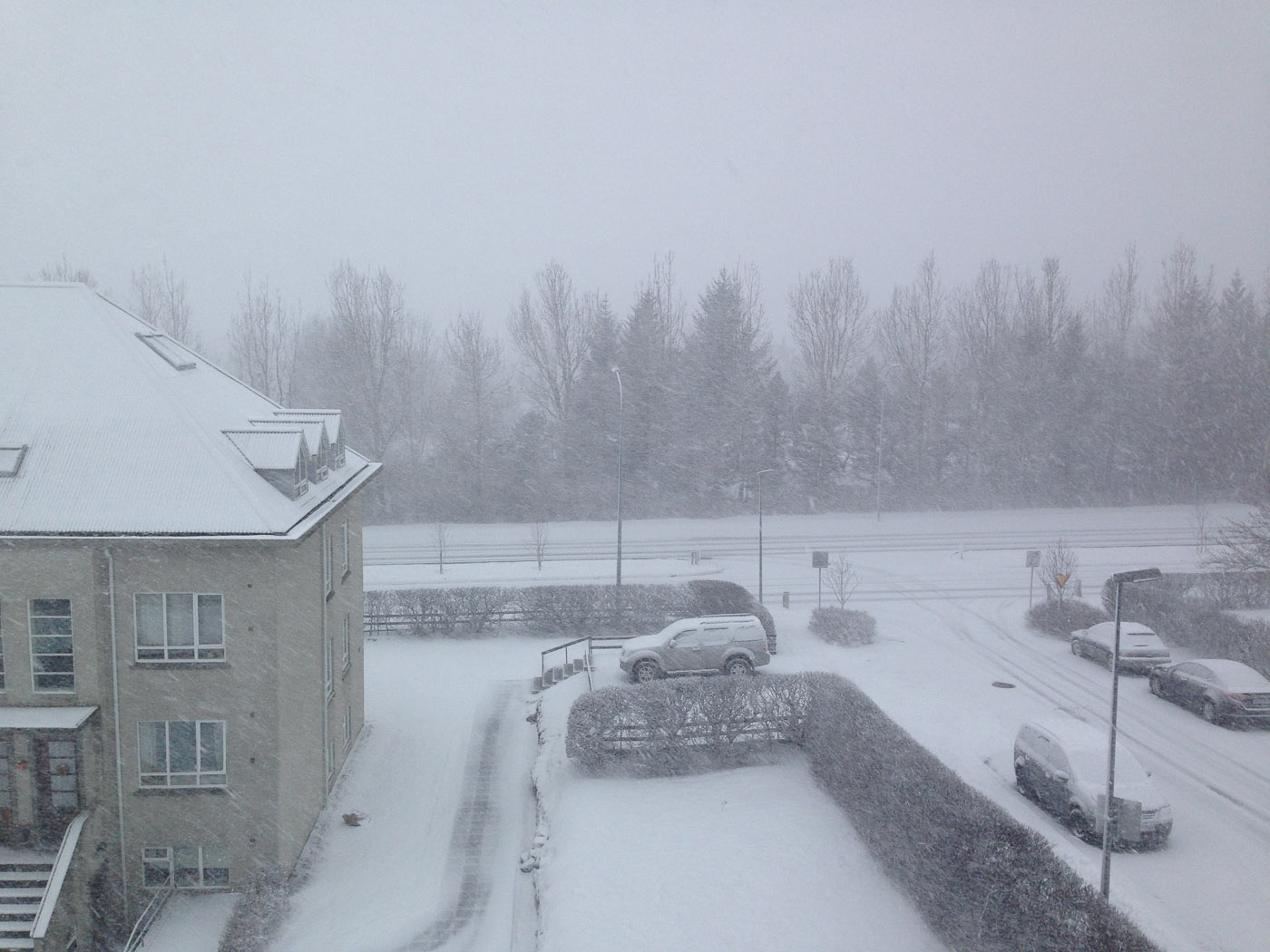 Reykjavík. Miscellaneous LXXV. - . (5 till 26 March 2014)