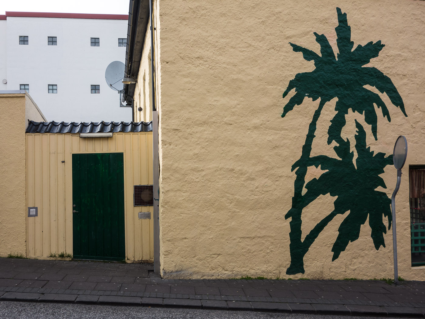 Reykjavík. Miscellaneous LXXVII. - This is not true - just painted. (5 till 16 May 2014)