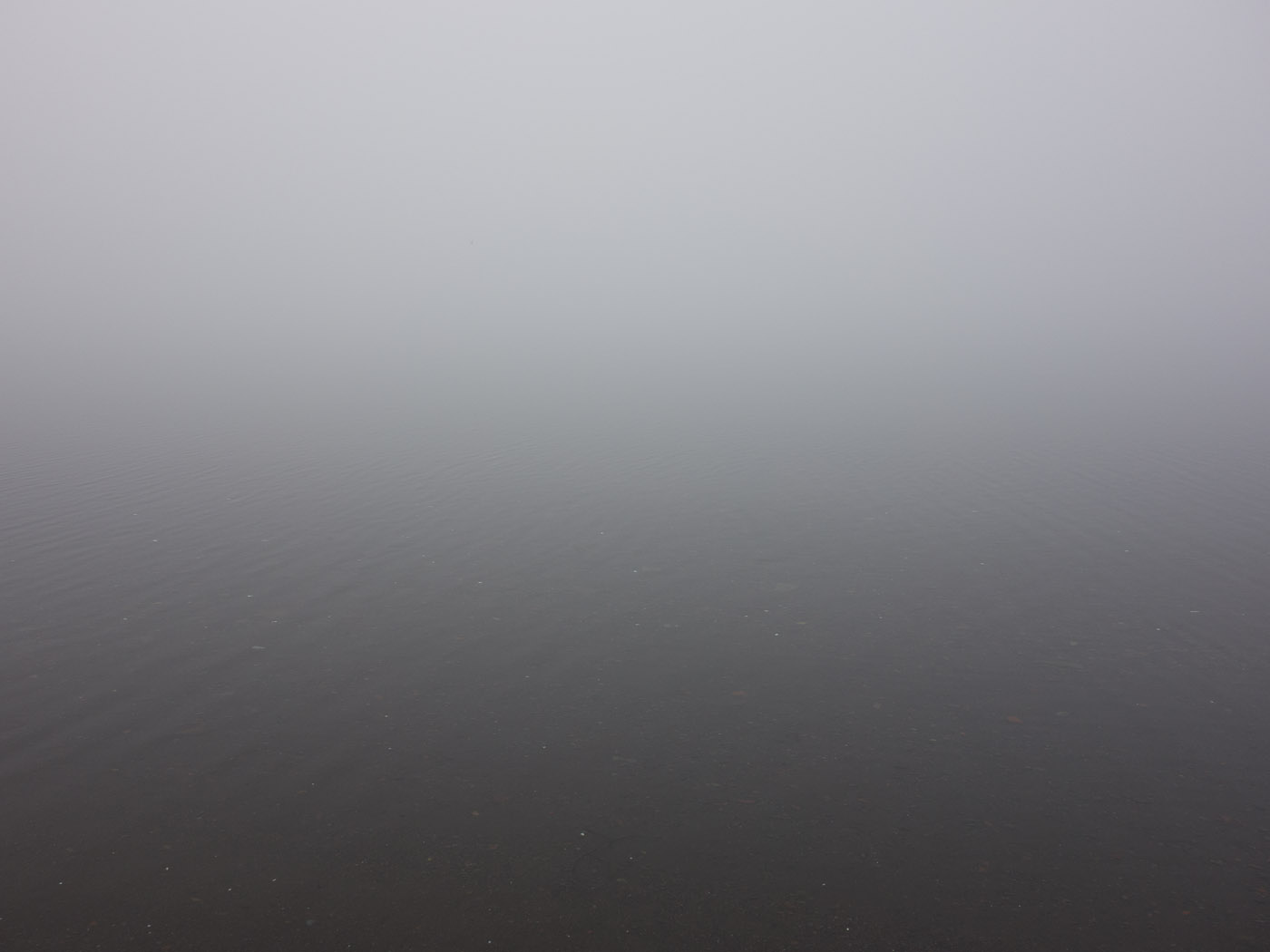 Djúpavík. Week 2. - A foggy (and sunny also) week. IV. (2 June till 8 June 2014)