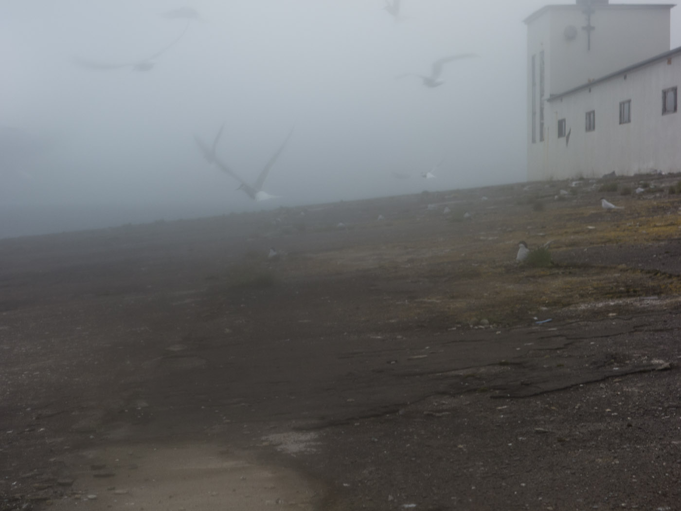 Dj&uacute;pav&iacute;k. Week 3. - Kr&iacute;as :-). I. (9 June till 15 June 2014)