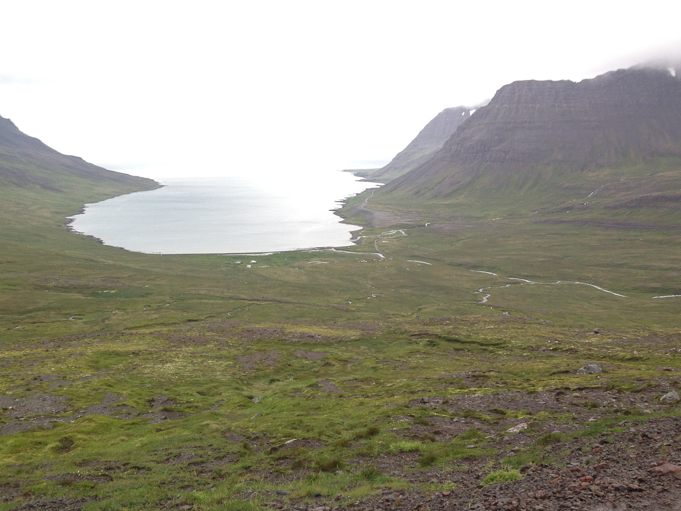 Djúpavík. Week 6. - Veiðileysufjörður flord. (30 June till 6 July 2014)