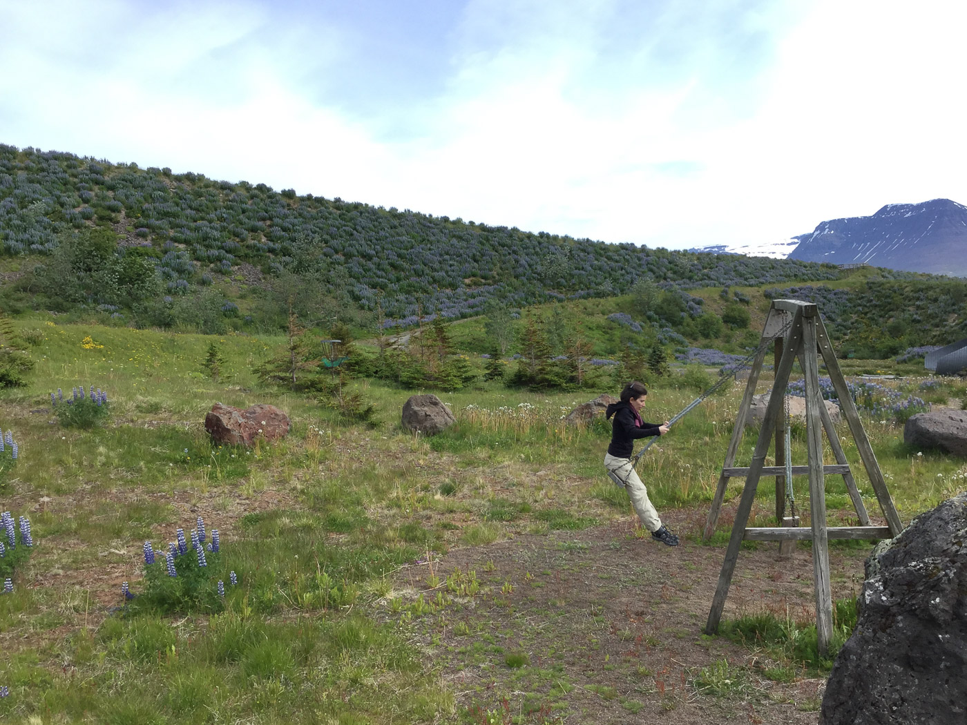 Westfjords in seven days. - Flateyri. I liked this village a lot! (7 til 13 July 2015)